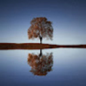 Meet your Posher, Paul